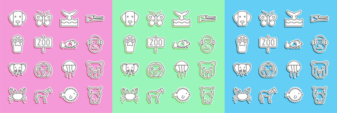 Set line Hippo or Hippopotamus, Bear head, Monkey, Whale tail in ocean wave, Zoo park, Paw print, Dog and Rat icon. Vector
