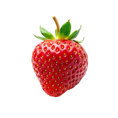 3d fly realistic isolated strawberry fruit