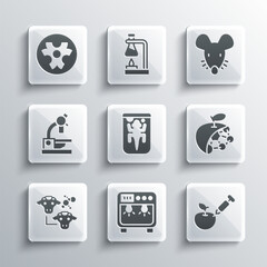 Set Biosafety box, Genetically modified apple, Biological structure, Experimental animal, Cloning, Microscope, Biohazard symbol and mouse icon. Vector