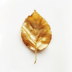Naklejka premium A single golden leaf stands out against a plain white backdrop