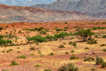 Beautiful desert landscapes of mountainous Morocco on a sunny day.