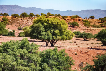 Landscapes of mountainous Morocco on a sunny day.
