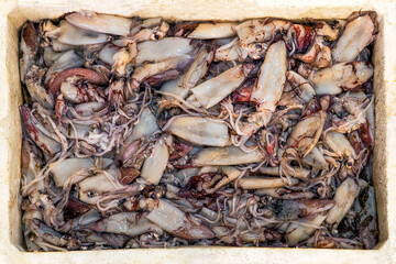 Seafood prepared for sale at the fish market in Kusudasi. Türkiye	