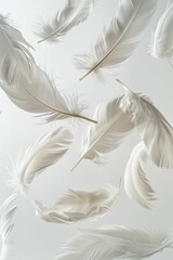Within the serene scene, delicate ethereal feathers gracefully descend against a pristine white canvas, evoking a sense of tranquility.