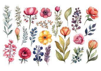 Watercolor floral elements vector