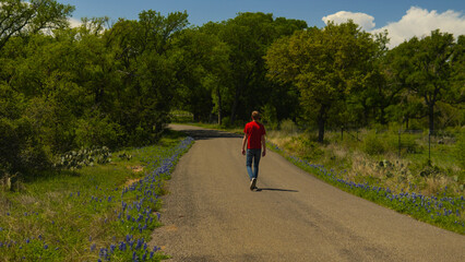 Obraz premium Person walking on road lined with Texas bluebonnets