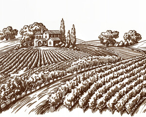 Vineyard Harvest, Classic Wine Labels, Rustic Farmhouse Decor, Traditional Rural Landscape Engraving, in Sepia color, Agricultural Branding, Eco-Tourism, Farm Life,  Heritage , Coaster Design, Print, 