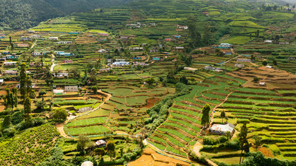 Green tea terraces and a village on the hillsides. Tea estate landscape. Nuwara Eliya, Sri Lanka.