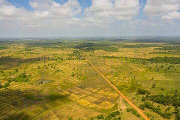 Aerial view of Agricultural land and rice fields in rural areas. Sri Lanka.