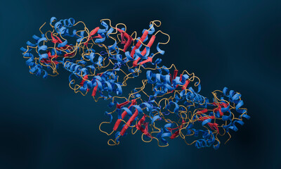 Enzyme structure