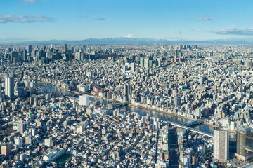 Aerial view of the Tokyo Skyline, Japan - 771646281
