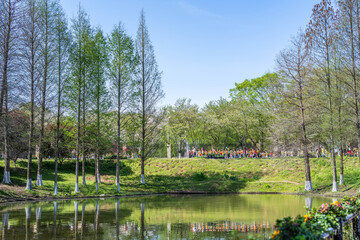 Fototapeta premium Tourists on spring outing in Changsha Garden Ecological Park