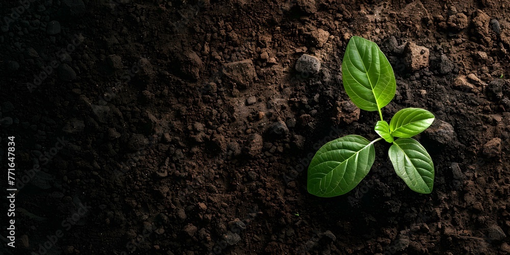 Poster soil science event celebrates researchers studying soil composition properties and importance in sus