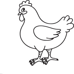 Chicken coloring pages. Chicken outline vector for coloring book