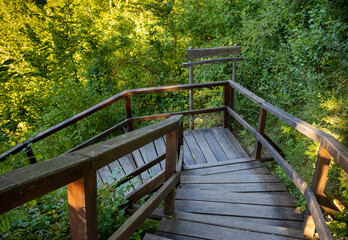 Wooden path with steps in the forest Sanski Most, Bosnia and Herzegovina 