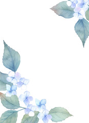 Watercolor hydrangea frame. Botanical design. Hand drawn illustration - 771652446