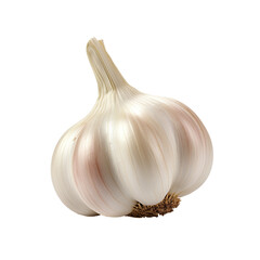 Garlic isolated on transparent background, PNG available