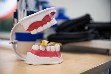 Denture at the dentist plastic model with toothbrush prevention has clean teeth tooth