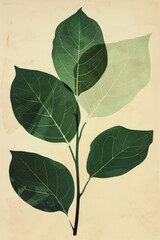 Minimalist abstract leaves illustration