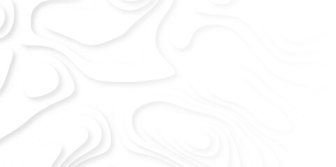 Abstract paper cut white background. Topographic canyon map light relief texture, curved layers and shadow. Paper topography pattern art vector banner