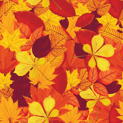 Autumn leaves. Wooden backing. Table