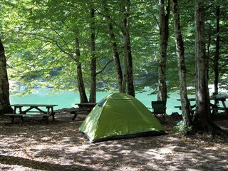 Green camping tent among trees by the lake