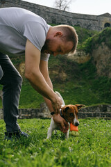 Caucasian man plays toy carrot tug-of-war with a dog on green grass. An active spring walk in park...