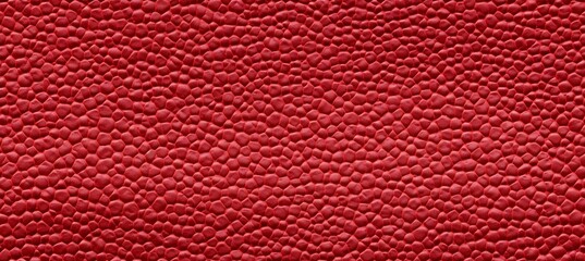 Fototapeta premium Texture Temptations: Border Decorated Background with Alluring Textures 