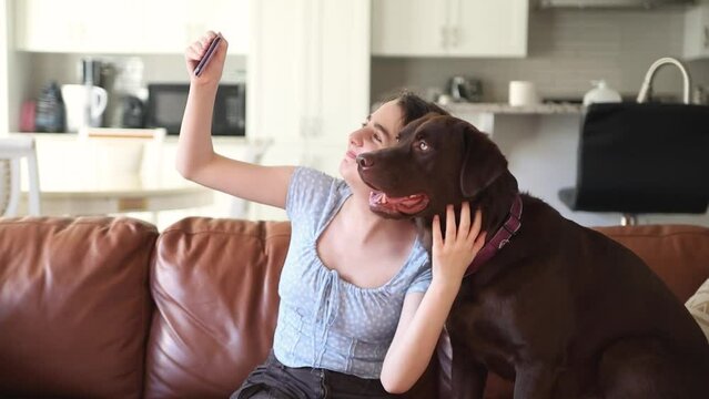 Teen Girl and Chocolate Labrador Taking a Selfie. A smiling young girl takes a selfie with her affectionate chocolate Labrador on a leather sofa.