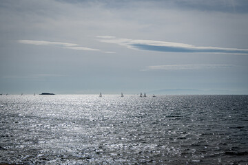 Photograph shows people windsurfing in the open sea. Nice sky with clouds at the background.
