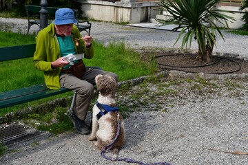 Mann und sein Lagotto Romagnolo Hund teilen siech eine Mahlzeit  - obrazy, fototapety, plakaty