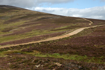 Fototapeta na wymiar Scottish landscape - Mount Battock from Glen Esk - Angus - Scotland - UK