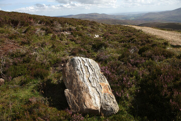 Scottish landscape - Mount Battock from Glen Esk - Angus - Scotland - UK