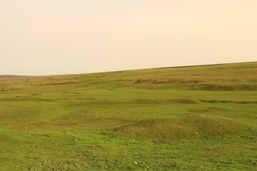 Fototapeta premium A grassy field with a cloudy sky