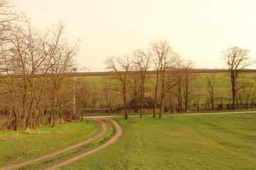 Fototapeta premium A dirt road with trees on either side of it