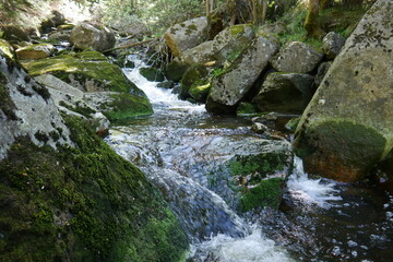 Gebirgsbach in den Bergen im Harz mit Kaskaden und Stromschnellen