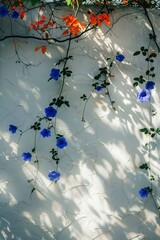 White wall, blue flowers hanging on the branches, sunlight shining through the window onto them, 