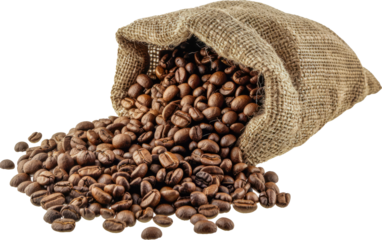Roasted coffee beans in burlap sack cut out on transparent background