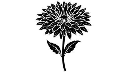 Aster Flower Vector Captivating Floral Designs for Your Projects
