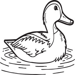 Duck coloring pages. Duck outline vector for coloring book