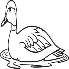 Duck coloring pages. Duck outline vector for coloring book