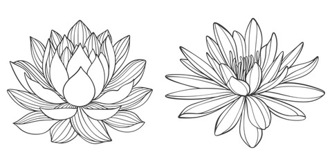 lotus line art vector illustration, vesak day element design