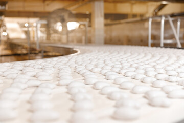 Conveyor line for production gingerbread cookies with white glaze at sweet factory. Modern plant...