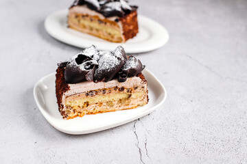 Delicious homemade layered chocolate cake with chocolate chips.