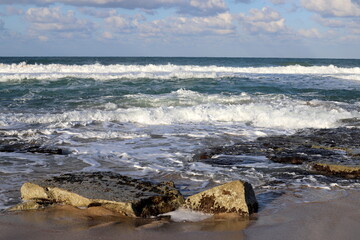 Stones and shells on the shore of the Mediterranean Sea.