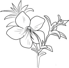allamanda cathartic botanical illustration, allamanda cathartic vector art, allamanda cathartic line drawings, allamanda cathartic wall decor, allamanda cathartic isolated on white background
