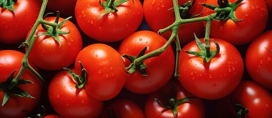 A cluster of ripe red plum tomatoes dangle from a green vine, showcasing the natural beauty of this nutritious food ingredient. Bush tomatoes are a popular choice for salads or sauces