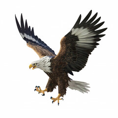 Obraz premium Eagle pounced eagle png isolated on transparent background