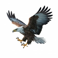 Obraz premium Eagle pounced eagle png isolated on transparent background
