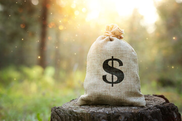 A bag of money with a dollar sign. An idea of wise investment and financial profit